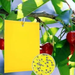 Online 2023 - 100 Stycken Gula Dubbelsidiga Flugfällor, Dubbelsidiga Gula Fällor För Flygande Insekter - Växthus