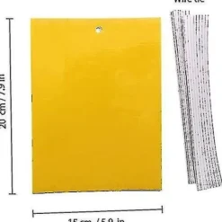 Online 2023 - 100 Stycken Gula Dubbelsidiga Flugfällor, Dubbelsidiga Gula Fällor För Flygande Insekter - Växthus