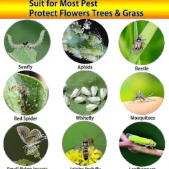 Online 2023 - 100 Stycken Gula Dubbelsidiga Flugfällor, Dubbelsidiga Gula Fällor För Flygande Insekter - Växthus