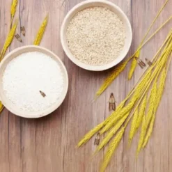 New 10 st flugfällor för att döda flugor och malar nemesis hushåll små insektsartefakter rismjöl mal klibbig rismal gnat malfälla