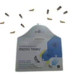 New 10 st flugfällor för att döda flugor och malar nemesis hushåll små insektsartefakter rismjöl mal klibbig rismal gnat malfälla