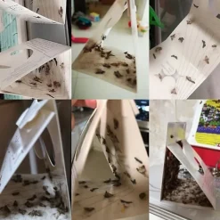 Clearance 10 st flugfällor för att döda flugor och malar nemesis hushåll små insektsartefakter rismjöl mal klibbig rismal gnat malfälla