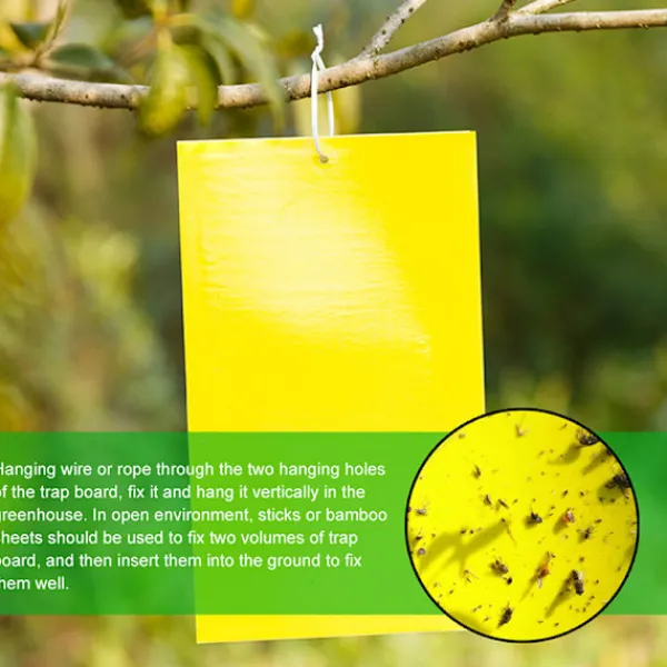 Online 5 ST Flugfångare Dubbelsidig Gula klibbiga fällor Flygande insekt as the picutre