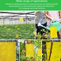 Online 5 ST Flugfångare Dubbelsidig Gula klibbiga fällor Flygande insekt as the picutre