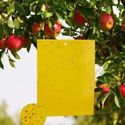 Clearance 50 st Insektsfällor, Dubbelsidiga Klisterfällor, Gult Anti-Insekts Papper Anti-Vita Flugor Ark, för Trädgårdsväxt Fl
