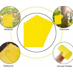 Clearance 50 st Insektsfällor, Dubbelsidiga Klisterfällor, Gult Anti-Insekts Papper Anti-Vita Flugor Ark, för Trädgårdsväxt Fl