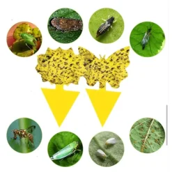 New 20 st klisterfällor, Klisterfälla för fruktflugor och myggor vid plantering