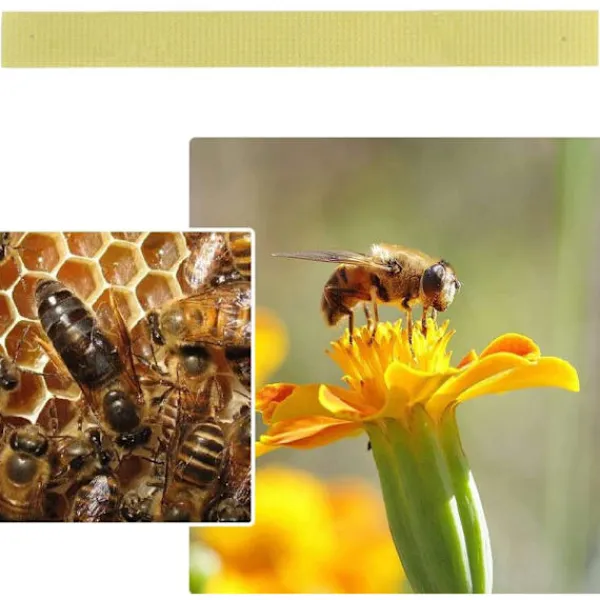 New 40 st Manhao Fluvalinat Stripes Mite Varroa Biodlingsmedicin