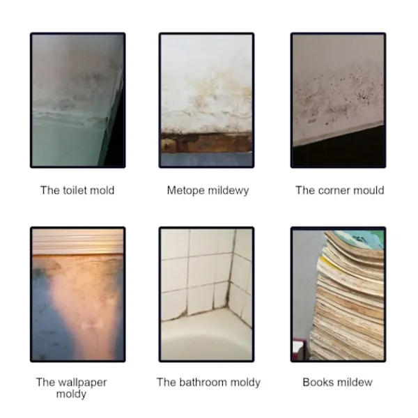 Outlet 2 st Mögelrengöringsskum, Mögel Deodorant Dekontamineringsspray Skum Mögelrengörare