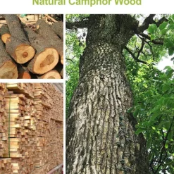 Clearance 50 stycken malskydd malskydd malkulor av cederträ luktbollar malstopp