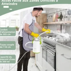 Online COSTWAY Bärbar Handhållere Steam Cleaner 1000W Sängbuggar - 300ml Tank 10 Tillbehör Temperatur 95°C 3 Bar Vit+grön