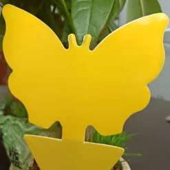 Online Effektiva flugfångare med klister - 100 pack