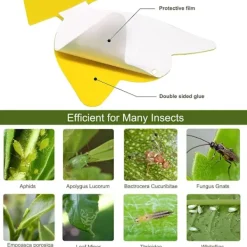 Online Effektiva flugfångare med klister - 100 pack