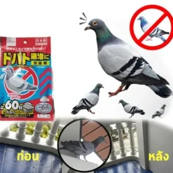 Online Effektivt fågelmedel för duvor Duvor Måsar | Stoppa Dropping Droppings Droppings | Tak och balkong | Anti-Pest
