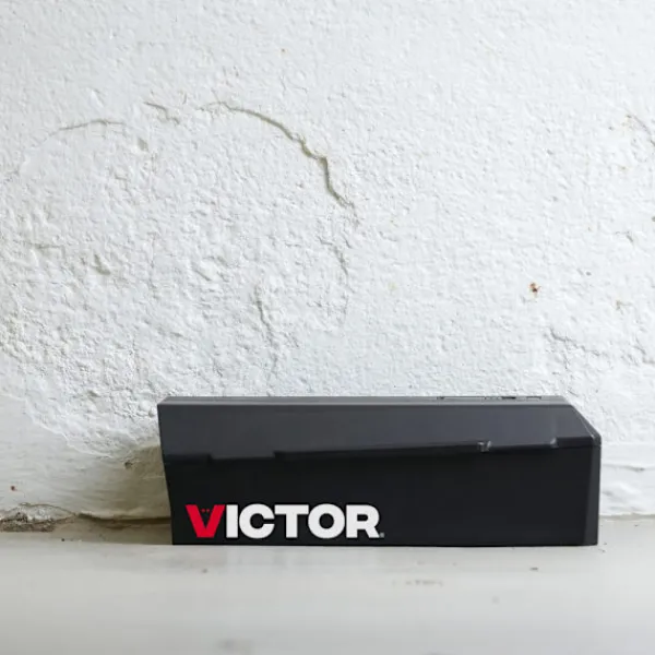 Online Elektrisk musfälla V2 med snabbverkande stötmekanism