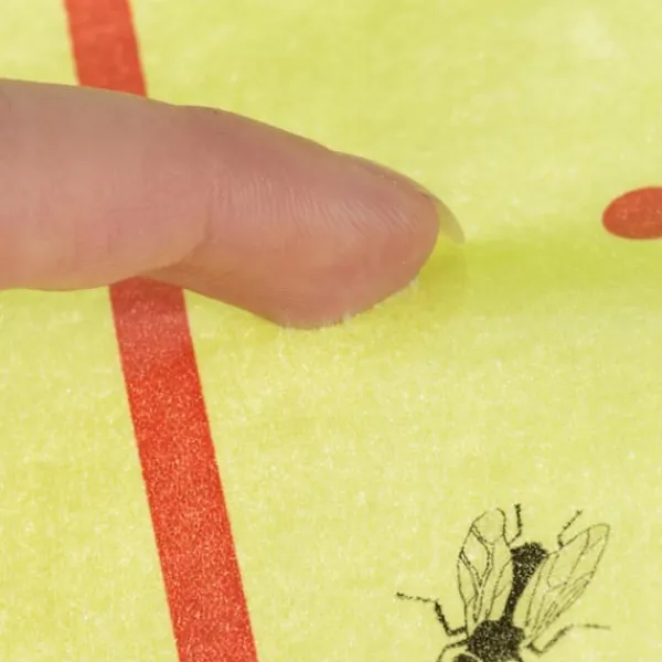 Outlet Northix Flugfångare/Klisterfälla - 10 m Rulle multifärg