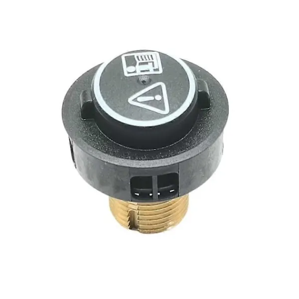 Online För Karcher SC4 SC5 Dammsugare Ångtvätt Tanklock Ersättning Säkerhetsventil Pannlock Del