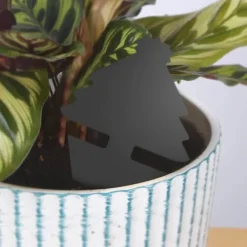 Clearance Fruktflugfällor 30 Stycken Dubbelsidiga Klisterfångare Diskret Svart Design för Hemmabruk