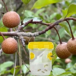 Outlet Geting- och bålgetingsfälla utomhus, utomhus getingfälla, bålgetingsfällsats för inomhusflaska, myggfälla, 4 st