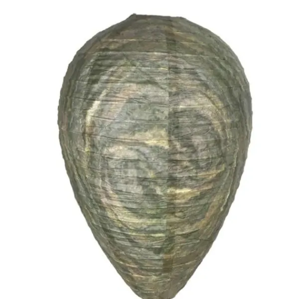 Sale Getingbo-fälla effektiv avskräckande bi-geting giftfri hängande pappersbo mörkgrön - Mörkgrön