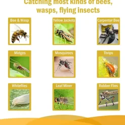 Getingfälla - Getingfångare, Bifälla, Fruktflugfälla, Bålgetingsfälla