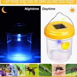 Online Getingfälla, 2-pack getingfällor för utomhusbruk, bålgetingsfälla, snickarbi-fällor för utomhusbruk, återanvändbar hängande bålgetingsfälla Orange