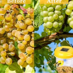 Online Getingfälla, 2-pack getingfällor för utomhusbruk, bålgetingsfälla, snickarbi-fällor för utomhusbruk, återanvändbar hängande bålgetingsfälla Orange