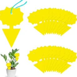 Gul klibbig insektsfångare, 10 st dubbelsidiga fruktflugfällor för växtskydd utomhus inomhus trädgård (blomma)