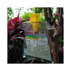 del IC Koolmei 6-pack Hängande Flugfälla Engångsfälla för Flugor