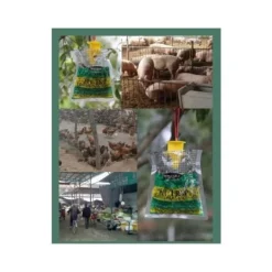 del IC Koolmei 6-pack Hängande Flugfälla Engångsfälla för Flugor