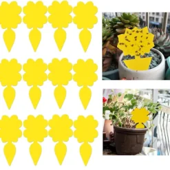 Clearance INF Klibbig fälla för skadeinsekter på krukväxter Flugfångare 12-pack