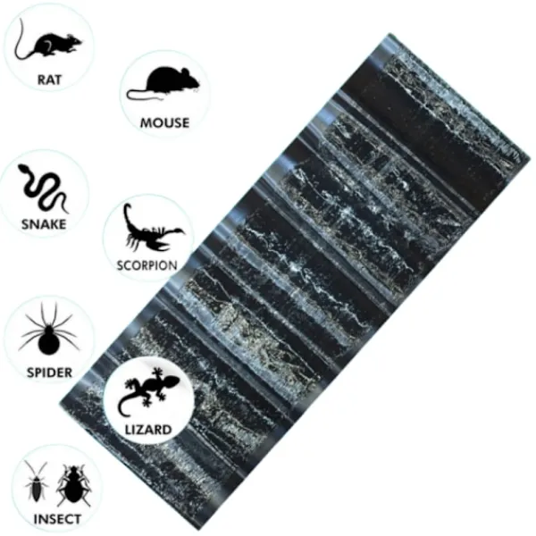 Clearance INF Klisterfälla för möss 5-pack Svart M