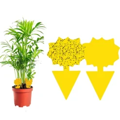 Sale INF 60-pack Flugfångare / Flugfälla / Klibbig insektsfälla Gul