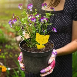 Sale INF 60-pack Flugfångare / Flugfälla / Klibbig insektsfälla Gul