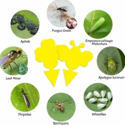 Sale INF 60-pack Flugfångare / Flugfälla / Klibbig insektsfälla Gul