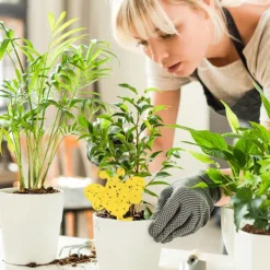 Sale INF 60-pack Flugfångare / Flugfälla / Klibbig insektsfälla Gul