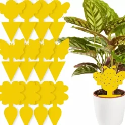 Insektspinnar - 12 st. Repetera 19053—yux 60