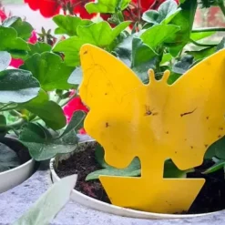 Insektspinnar - 12 st. Repetera 19053—yux 60