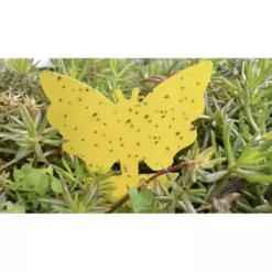 Insektspinnar - 12 st. Repetera 19053—yux 60