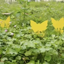 Insektspinnar - 12 st. Repetera 19053—yux 60