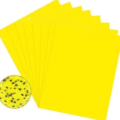 Best INF Klibbig fälla för skadeinsekter Flugfångare 20-pack 20x10 cm Gul