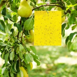 Best INF Klibbig fälla för skadeinsekter Flugfångare 20-pack 20x10 cm Gul