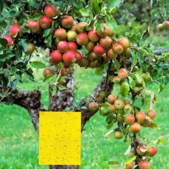 Best INF Klibbig fälla för skadeinsekter Flugfångare 20-pack 20x10 cm Gul