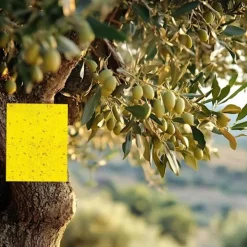 Best INF Klibbig fälla för skadeinsekter Flugfångare 20-pack 20x10 cm Gul