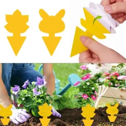 Online INF Klibbig fälla mot bananflugor och skadedjur på krukväxter 60-pack Gul