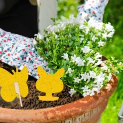 Online INF Klibbig fälla mot bananflugor och skadedjur på krukväxter 60-pack Gul