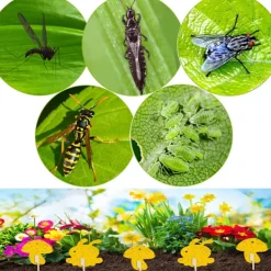 Online INF Klibbig fälla mot bananflugor och skadedjur på krukväxter 60-pack Gul