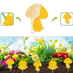 Online INF Klibbig fälla mot bananflugor och skadedjur på krukväxter 60-pack Gul