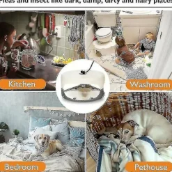 Discount FMYSJ Klibbig loppfälla, vägglusfälla, giftfri och luktfri, lätt loppfälla för barn och husdjur (FMY)