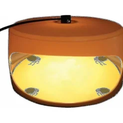 Discount FMYSJ Klibbig loppfälla, vägglusfälla, giftfri och luktfri, lätt loppfälla för barn och husdjur (FMY)